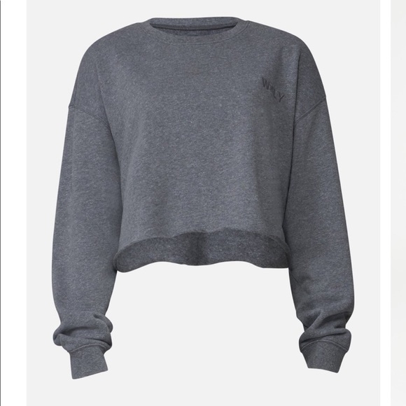 WSLY Tops - WSLY The Ecosoft Cropped Crewneck Sweatshirt NWT